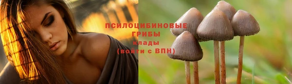 MDMA Медногорск