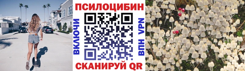 Псилоцибиновые грибы мицелий Лихославль